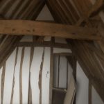 IMG_2391_compressed